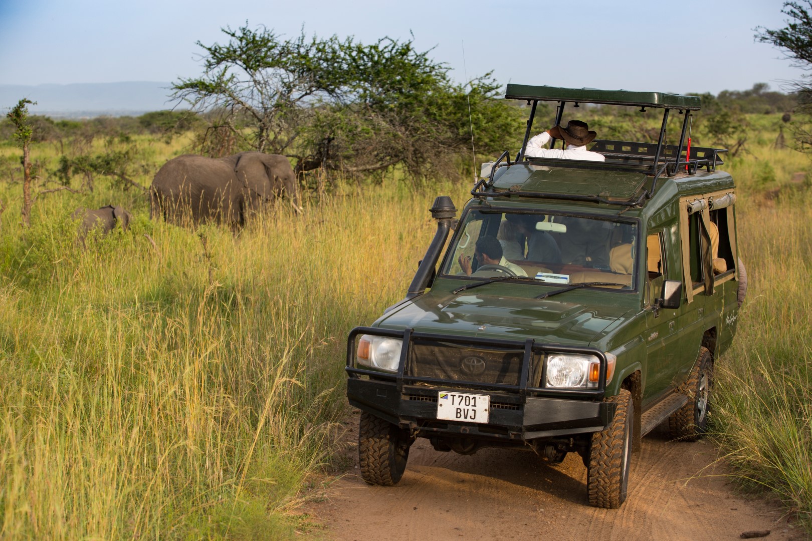 wp-content/uploads/itineraries/Tanzania/SkySafari/serengeti-migration-camp-game-drive-elephant-1 (Large).jpg